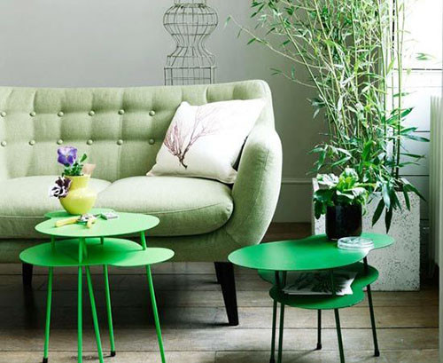 客厅风水之植物摆放的宜与忌