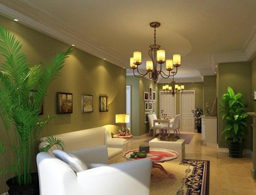 客厅风水之植物摆放的宜与忌