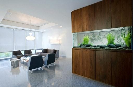 职业男士与办公室风水