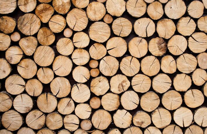 装修木材怎么选?