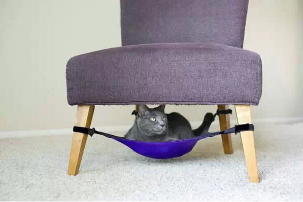 家中有喵星人 家就该这样装修! 家中有喵星人 家就该这样装修!