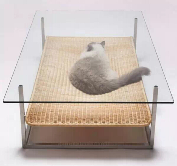 家中有喵星人 家就该这样装修! 家中有喵星人 家就该这样装修!