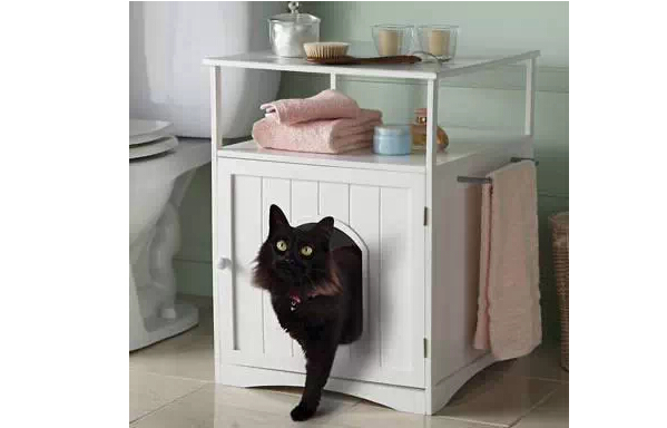 家中有喵星人 家就该这样装修! 家中有喵星人 家就该这样装修!