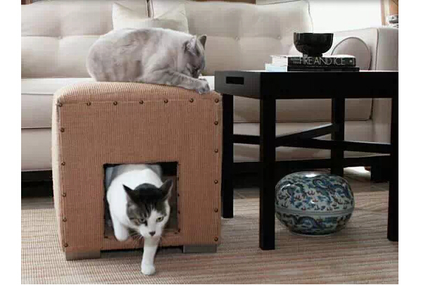 家中有喵星人 家就该这样装修! 家中有喵星人 家就该这样装修!