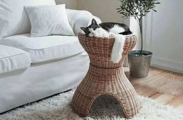 家中有喵星人 家就该这样装修! 家中有喵星人 家就该这样装修!