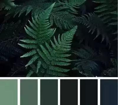 流行色彩 流行色彩