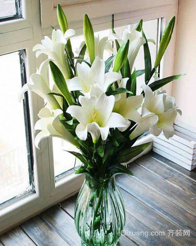 家居风水植物百合