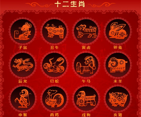 属相婚配