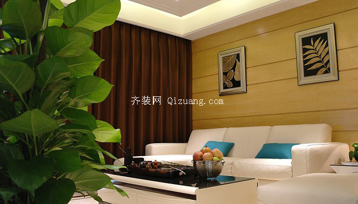 客厅植物摆放效果图