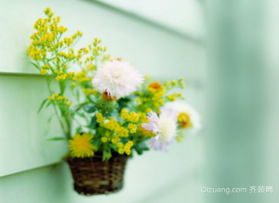 家居鲜花效果图